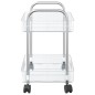 vidaXL Aufbewahrungswagen 2 Etagen Transparent 37x28x43,5 cm Acryl vidaXL Aufbewahrungswagen 2 Etagen Transparent 37x28x43,5 cm Acryl