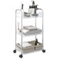vidaXL Aufbewahrungswagen 3 Etagen Transparent 37x28x68 cm Acryl vidaXL Aufbewahrungswagen 3 Etagen Transparent 37x28x68 cm Acryl
