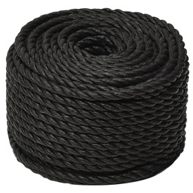 vidaXL Arbeitsseil Schwarz 10 mm 500 m Polypropylen