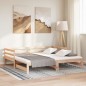 vidaXL Ausziehbares Tagesbett ohne Matratze 80x200 cm vidaXL Ausziehbares Tagesbett ohne Matratze 80x200 cm