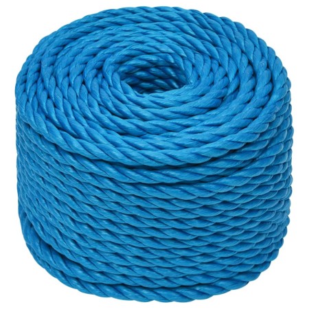 vidaXL Arbeitsseil Blau 24 mm 100 m Polypropylen