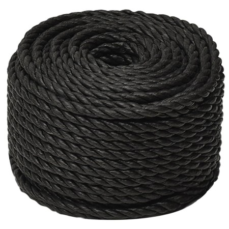 vidaXL Arbeitsseil Schwarz 16 mm 250 m Polypropylen