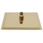 vidaXL Regenbrause Edelstahl 20x20 cm Quadrat Golden vidaXL Regenbrause Edelstahl 20x20 cm Quadrat Golden