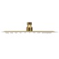 vidaXL Regenbrause Edelstahl 20x20 cm Quadrat Golden vidaXL Regenbrause Edelstahl 20x20 cm Quadrat Golden
