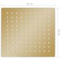vidaXL Regenbrause Edelstahl 20x20 cm Quadrat Golden vidaXL Regenbrause Edelstahl 20x20 cm Quadrat Golden
