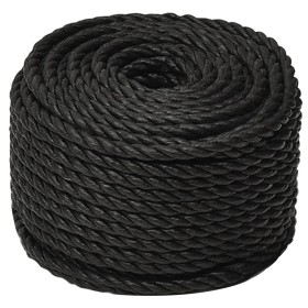 vidaXL Arbeitsseil Schwarz 12 mm 25 m Polypropylen