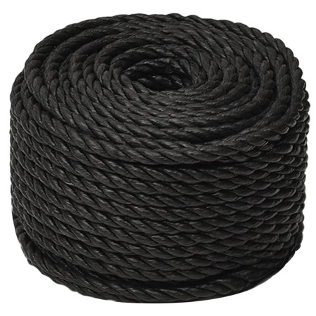 vidaXL Arbeitsseil Schwarz 12 mm 25 m Polypropylen