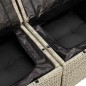 vidaXL Gartensofa mit Kissen 2-Sitzer Hellgrau Poly Rattan vidaXL Gartensofa mit Kissen 2-Sitzer Hellgrau Poly Rattan
