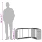 vidaXL Outdoor-Rgale 2 Stk. Hellgrau Poly Rattan vidaXL Outdoor-Rgale 2 Stk. Hellgrau Poly Rattan