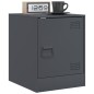 vidaXL Nachttische 2 Stk. Anthrazit 34,5x39x44 cm Stahl vidaXL Nachttische 2 Stk. Anthrazit 34,5x39x44 cm Stahl