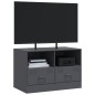 vidaXL TV-Schrank Anthrazit 67x39x44 cm Stahl vidaXL TV-Schrank Anthrazit 67x39x44 cm Stahl