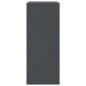 vidaXL Highboard Anthrazit 67x39x95 cm Stahl vidaXL Highboard Anthrazit 67x39x95 cm Stahl