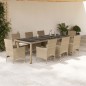 vidaXL 9-tlg. Garten-Essgruppe mit Kissen Beige Poly Rattan Glas vidaXL 9-tlg. Garten-Essgruppe mit Kissen Beige Poly Rattan Glas