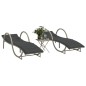 vidaXL Sonnenliegen 2 Stk. mit Tisch Hellgrau Poly Rattan vidaXL Sonnenliegen 2 Stk. mit Tisch Hellgrau Poly Rattan
