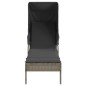 vidaXL Sonnenliege mit Dach Grau Poly Rattan vidaXL Sonnenliege mit Dach Grau Poly Rattan