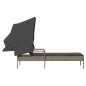 vidaXL Sonnenliege mit Dach Grau Poly Rattan vidaXL Sonnenliege mit Dach Grau Poly Rattan