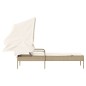 vidaXL Sonnenliege mit Dach Beige Poly Rattan vidaXL Sonnenliege mit Dach Beige Poly Rattan
