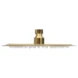 vidaXL Regenbrause Edelstahl 20 cm Rund Golden vidaXL Regenbrause Edelstahl 20 cm Rund Golden