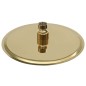 vidaXL Regenbrause Edelstahl 20 cm Rund Golden vidaXL Regenbrause Edelstahl 20 cm Rund Golden