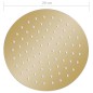 vidaXL Regenbrause Edelstahl 20 cm Rund Golden vidaXL Regenbrause Edelstahl 20 cm Rund Golden
