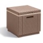 Keter Kühlbox Ice Cube Cappuccino-Braun 223761 Keter Kühlbox Ice Cube Cappuccino-Braun 223761