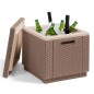 Keter Kühlbox Ice Cube Cappuccino-Braun 223761 Keter Kühlbox Ice Cube Cappuccino-Braun 223761