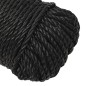 vidaXL Arbeitsseil Schwarz 3 mm 25 m Polypropylen vidaXL Arbeitsseil Schwarz 3 mm 25 m Polypropylen