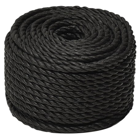 vidaXL Arbeitsseil Schwarz 20 mm 25 m Polypropylen