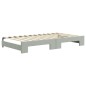 vidaXL Tagesbett Ausziehbar mit Schubladen Hellgrau 100x200 cm Samt vidaXL Tagesbett Ausziehbar mit Schubladen Hellgrau 100x200 cm Samt
