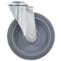 vidaXL 12 Stk. Lenkrollen mit Bolzenloch 125 mm vidaXL 12 Stk. Lenkrollen mit Bolzenloch 125 mm