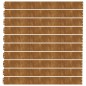 vidaXL Rasenkanten 10 Stk. 10x103 cm Flexibel Cortenstahl vidaXL Rasenkanten 10 Stk. 10x103 cm Flexibel Cortenstahl