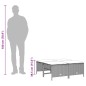 vidaXL Gartenhocker mit Kissen 4 Stk. Hellgrau Poly Rattan vidaXL Gartenhocker mit Kissen 4 Stk. Hellgrau Poly Rattan