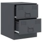vidaXL Nachttische 2 Stk. Anthrazit 34,5x39x44 cm Stahl vidaXL Nachttische 2 Stk. Anthrazit 34,5x39x44 cm Stahl