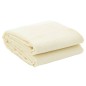 vidaXL Zeltteppich Creme 2,5x2 m vidaXL Zeltteppich Creme 2,5x2 m