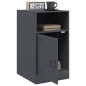 vidaXL Nachttische 2 Stk. Anthrazit 34,5x39x62 cm Stahl vidaXL Nachttische 2 Stk. Anthrazit 34,5x39x62 cm Stahl
