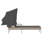 vidaXL Sonnenliege mit Dach Hellgrau Poly Rattan vidaXL Sonnenliege mit Dach Hellgrau Poly Rattan