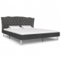 vidaXL Bett Dunkelgrau Stoff 160×200 cm