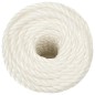 vidaXL Arbeitsseil Weiß 10 mm 25 m Polypropylen vidaXL Arbeitsseil Weiß 10 mm 25 m Polypropylen