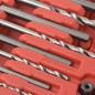 vidaXL 25-teiliges Schraubenausdreher-Set Stahl vidaXL 25-teiliges Schraubenausdreher-Set Stahl