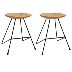 vidaXL Hocker 2 Stk. Teak Massivholz 