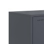 vidaXL TV-Schrank Anthrazit 100,5x39x60,5 cm Stahl vidaXL TV-Schrank Anthrazit 100,5x39x60,5 cm Stahl