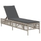 vidaXL Sonnenliege mit Auflage Hellgrau Poly Rattan vidaXL Sonnenliege mit Auflage Hellgrau Poly Rattan