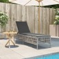 vidaXL Sonnenliege mit Auflage Hellgrau Poly Rattan vidaXL Sonnenliege mit Auflage Hellgrau Poly Rattan