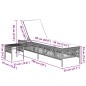 vidaXL Sonnenliegen 2 Stk. mit Tisch Beige Poly Rattan vidaXL Sonnenliegen 2 Stk. mit Tisch Beige Poly Rattan