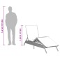 vidaXL Sonnenliege mit Auflage Braun Poly Rattan vidaXL Sonnenliege mit Auflage Braun Poly Rattan