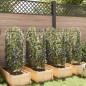 vidaXL Tomatenkäfige 8 Stk. 116 cm Stahl und PP vidaXL Tomatenkäfige 8 Stk. 116 cm Stahl und PP
