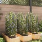 vidaXL Tomatenkäfige 6 Stk. 116 cm Stahl und PP vidaXL Tomatenkäfige 6 Stk. 116 cm Stahl und PP