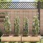 vidaXL Tomatenkäfige 4 Stk. 154 cm Stahl und PP vidaXL Tomatenkäfige 4 Stk. 154 cm Stahl und PP