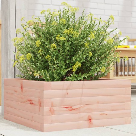 vidaXL Pflanzkübel 50x50x23 cm Massivholz Douglasie
