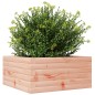vidaXL Pflanzkübel 50x50x23 cm Massivholz Douglasie vidaXL Pflanzkübel 50x50x23 cm Massivholz Douglasie